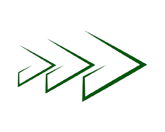 untitled design 15 removebg preview